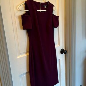 Size 2 Tommy Hilfiger Plum Dress